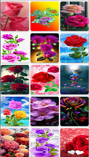 hd flowers wallpapers Screen 3