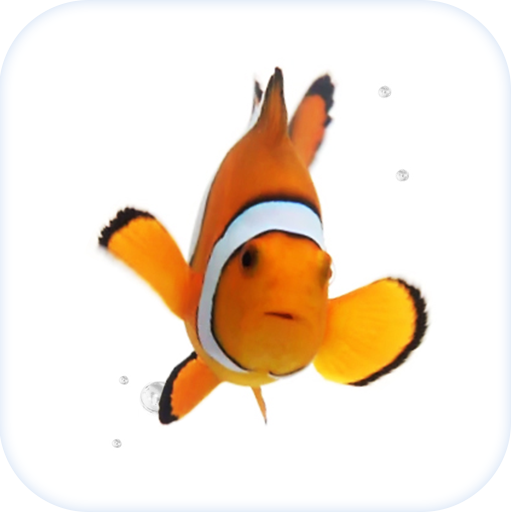 Fish Live Wallpaper Theme HD  Icon