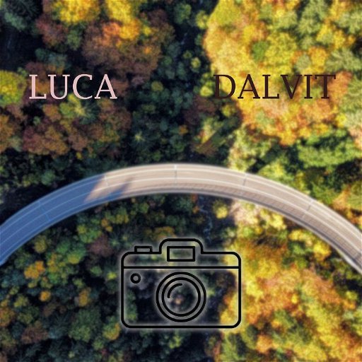 DALVIT LUCA logo