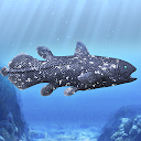 Coelacanth and ancient fish 1.0.3 APK Download