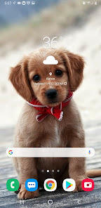 Puppy Love Wallpaper 1.0 APK + Mod (Free purchase) for Android