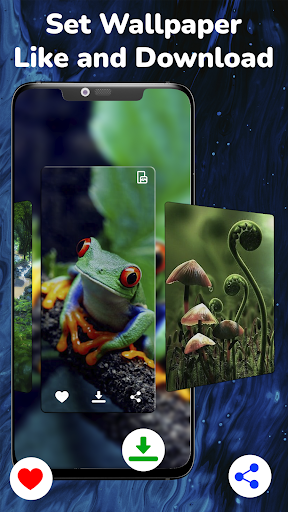 Rainforest Wallpapers HD Screen 3
