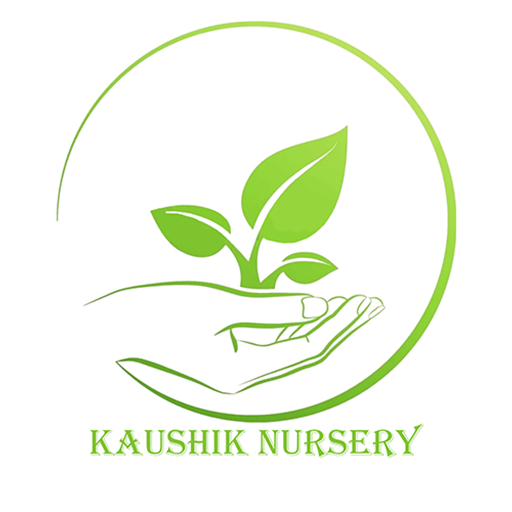 Kaushik Nursery logo