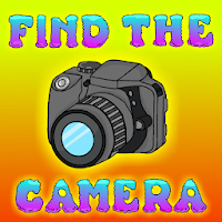Find The Camera