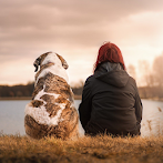 What dog breed am I? Test