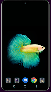 HD Fish Wallpaper  screenshots 9