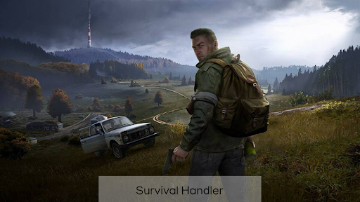 DayZ Pocket Survival Handler