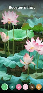 Lotus Color: Color by Number 2