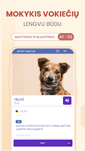 Ekrano kopijos vaizdas