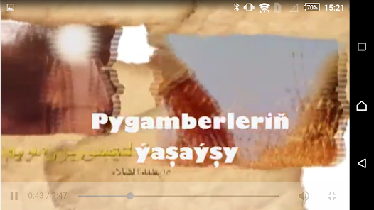 Screenshot image