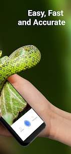 Snake Identifier: Reptiles ID Apk Download New* 2