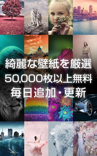 綺麗な高画質壁紙 美しい背景画像 By Dolice Net Google Play 日本 Searchman アプリマーケットデータ