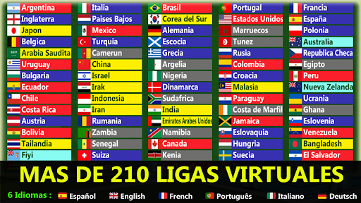 Vista previa de la aplicación