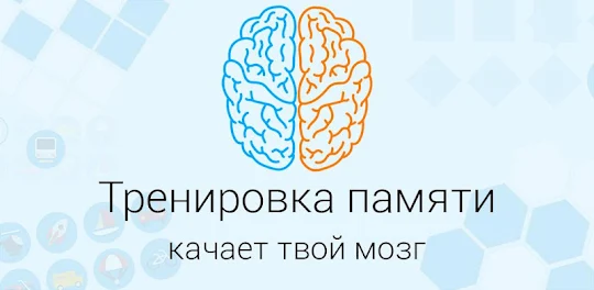 Тренировка памяти и мозга