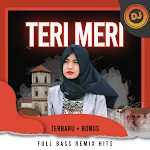 Cover Image of Download DJ Teri Meri Terbaru Full Bass  APK