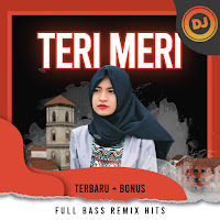 DJ Teri Meri Terbaru Full Bass Remix Hits  Bonus