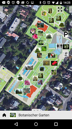 Botanischer Garten Graz Screen 3