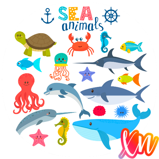 How to Draw Ocean Animals