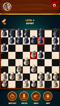 Game screenshot Шахматы - офлайн игра apk download