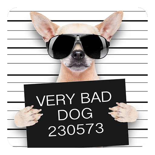 おかしい悪い犬ライブ壁紙 Google Play のアプリ