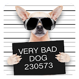 Funny Bad Dogs Live Wallpaper icon