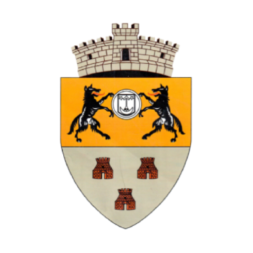 Comuna Satulung logo