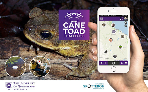 Android application Cane Toad Challenge | SPOTTERO screenshort