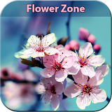 Flower Zone icon
