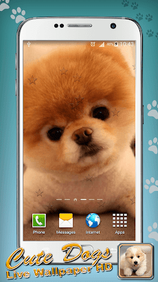 犬の壁紙 高画質 Androidアプリ Applion