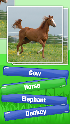 Guess The Animal Quiz Games 7.0 screenshots 3