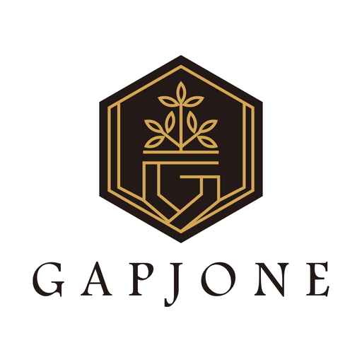 GAPJONE logo