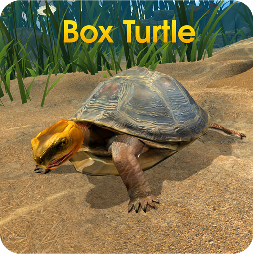 Box Turtle Simulator 1.0 Icon