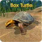Box Turtle Simulator 1.0.1