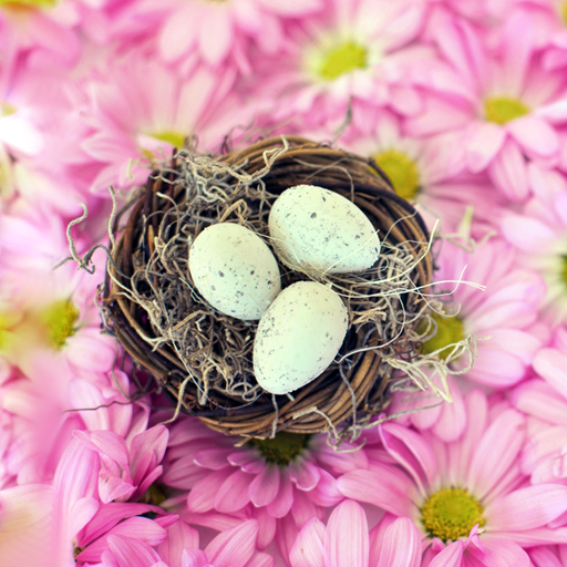 Easter Live Wallpaper logo