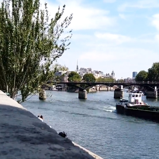 paris video wallpaper logo