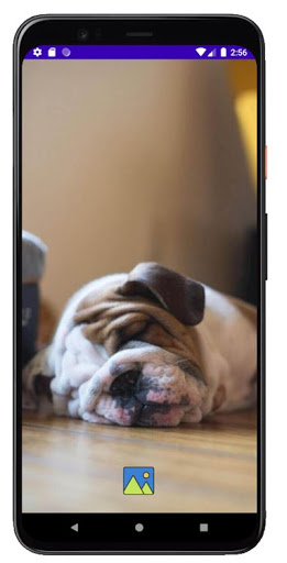 Fondos de Pantalla de Perros T Screen 3