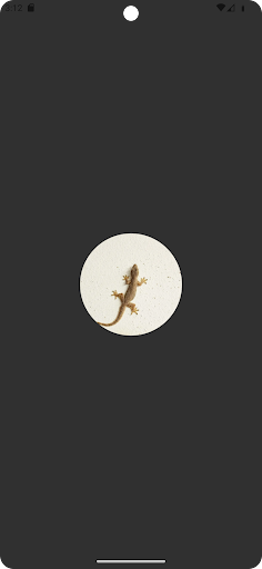 Android application Lizard Sounds screenshort