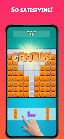 Game screenshot Big Big Block Blast! IQ Puzzle apk download
