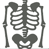 Musculoskeletal X- Rays Interpretation