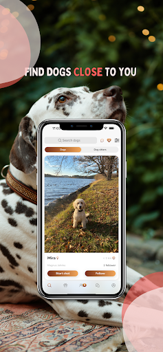 DogDater Screen 2
