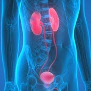 Top 16 Medical Apps Like Urinary Diseases - Best Alternatives