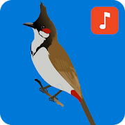 Top 25 Lifestyle Apps Like Bulbul Bird Ringtones - Best Alternatives