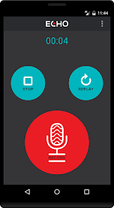 Echo voice sales