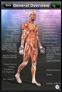 Learn Muscles  Anatomy New Apk 4