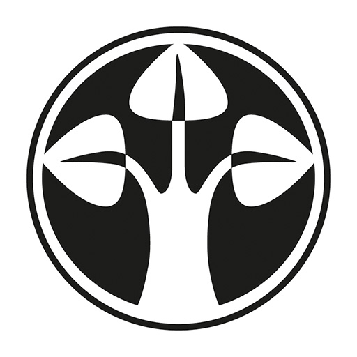 DEUTSCHE FINANCE GROUP logo