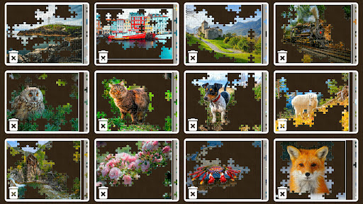 Jigsaw puzzles for everyone 24