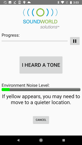 CS Customizer Screen 3