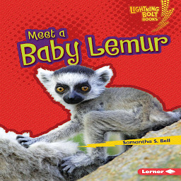 Icon image Meet a Baby Lemur