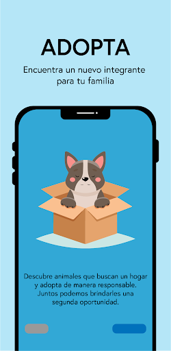 Patitas Perdidas Registro y QR