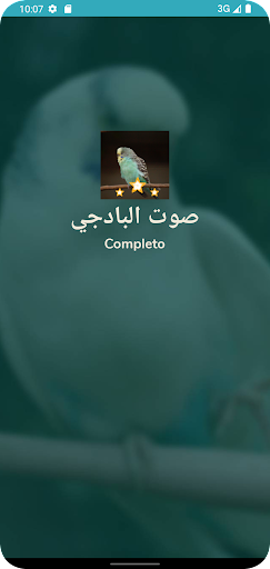 صوت البادجي